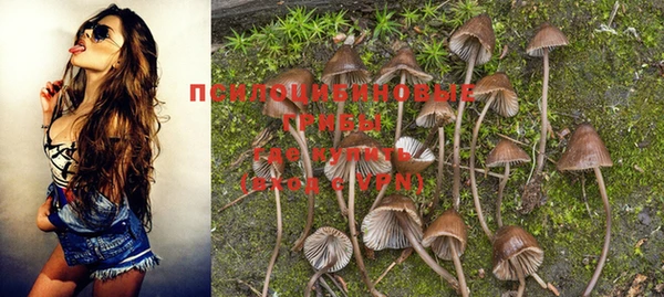 марки nbome Беломорск