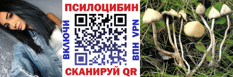 Псилоцибиновые грибы Cubensis  Гаврилов Посад 