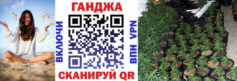 Канабис сатива  даркнет сайт  Гаврилов Посад 